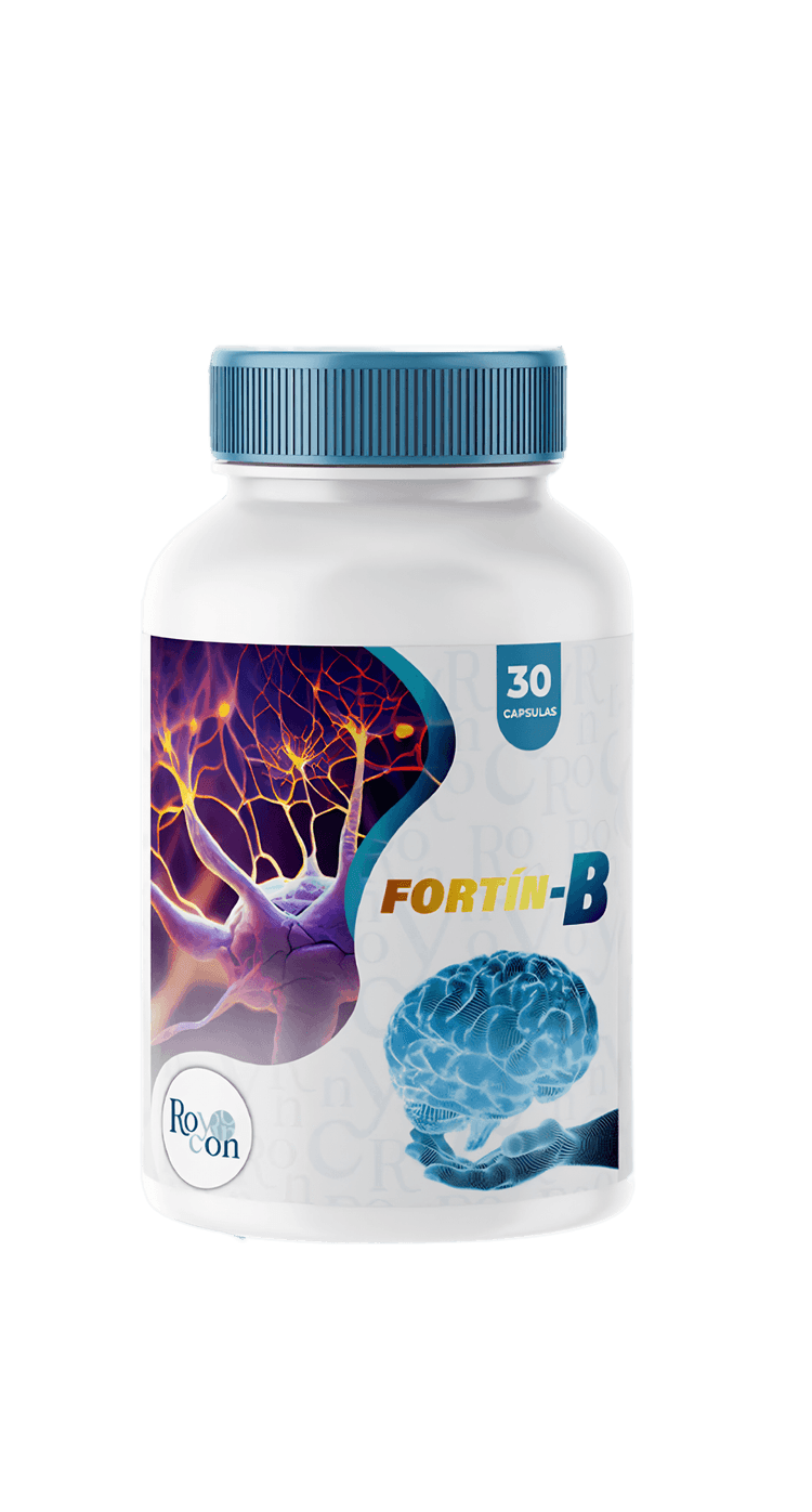 Fortín-B